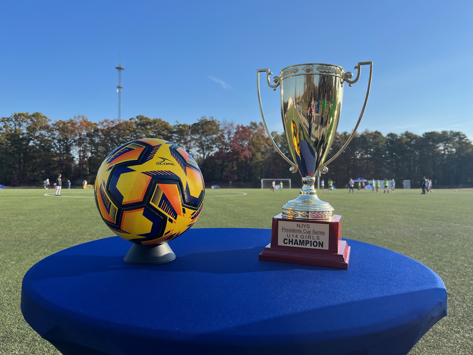 Championship cup hot sale soccer